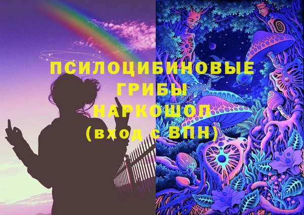 mdma Новозыбков