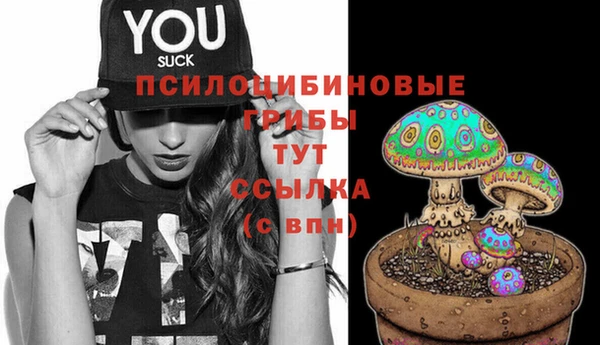 мяу мяу мука Новодвинск