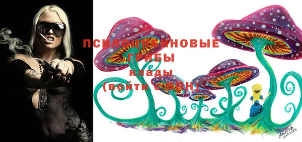 мяу мяу мука Новодвинск