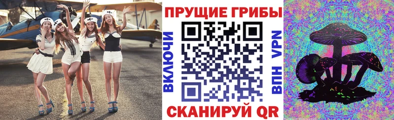 Псилоцибиновые грибы Cubensis  Подпорожье 
